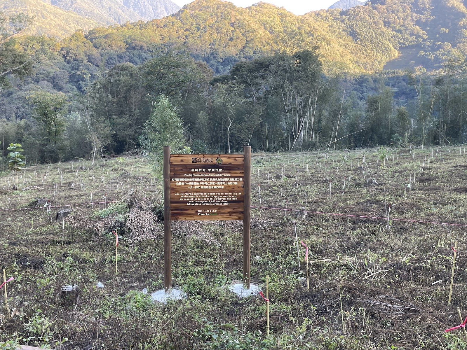 永齡農場植樹區域全景，畫面中央矗立一座木製告示牌，顯示「永齡農場 森羅百態」及 Zuellig Pharma（裕利醫藥）贊助字樣，背景為山林與剛種植的幼苗區域，